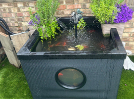 Pond fish etc
