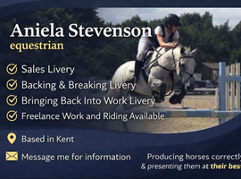 Seeking professional Sole Use Equestrian Yard &ndash; Kent Area
