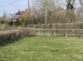 Lovely three acre horse grazing field in Westbury, SY5 9DA