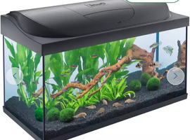 Tetra start line 105 l plus Fluvel filter