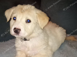 Stunning girl for sale