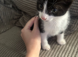 Black and white female