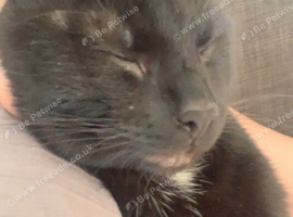 Looking to rehome