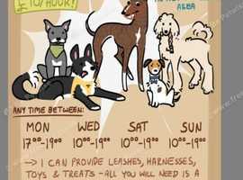 DOG WALKING AND TRAINING