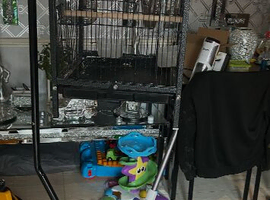 Cage and stand
