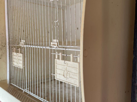 plastic bird cage