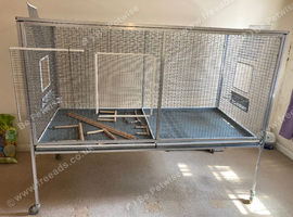 Large flight cage