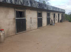 Livery available Tempo area long term or holiday packages available