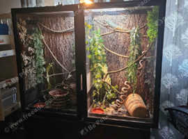 Double vivarium with mistking system and top tech thermostat