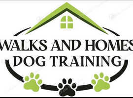 Dog and Puppy Training in Surrey and West Sussex