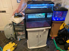 Fish tank &pound;80 and for a few nice coloured chiclids
