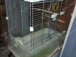 Lovely bird cage