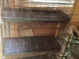 Bird cages