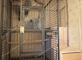 Pair of Galah Cockatoos &ndash; 5 Years Old &ndash; Proven Breeding Pair &ndash; Large Cage & Nest Box Included
