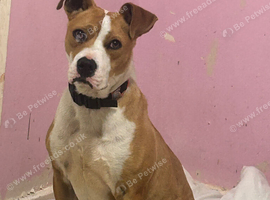 L11month old boy