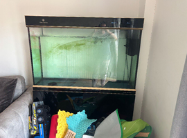 Touch screen fish tank and stand
