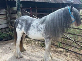 Sabino Mare