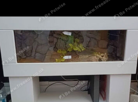 3ft moden white vivarium