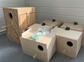 Budgie and cockatiel nesting boxes