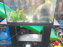210 litres tank for sale great con with doc fish and goppies