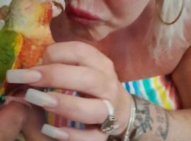 Hand tame baby conures
