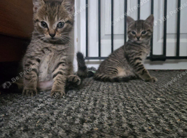 2 beautiful boys