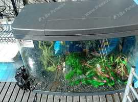 Fish tank 2ft, NO STAND
