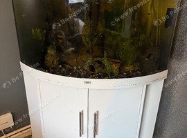 Jewel 190 corner fish tank