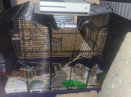 5mums 33 babies