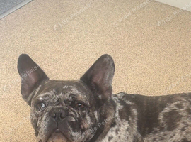 This is Gucci