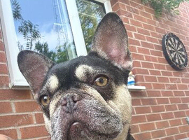 Rehoming needed urgently