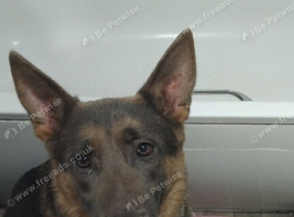 New home for lulu