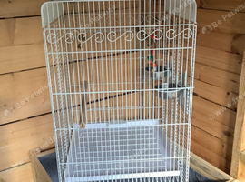 Large bird cage.