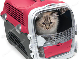 Cat Carrier