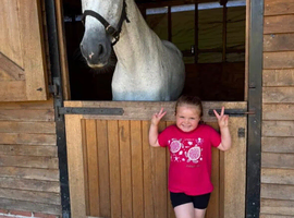 Orest Cruise &ndash; Outstanding Orestus x Cruising Irish Sport Horse Mare