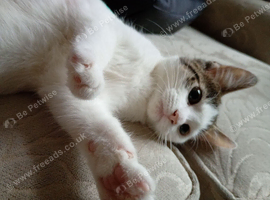 Lovely almost white female.