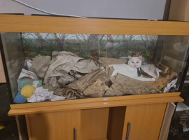 240l Juwel Fish Tank