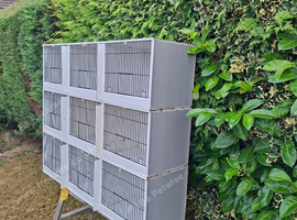 Canary cages