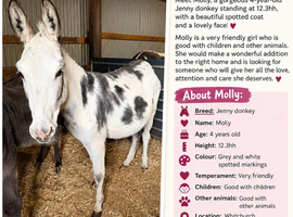 Molly