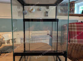 Two glass terrariums