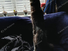 9 month old