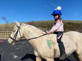 Beautiful 15.3hh American Quarter Horse Mare