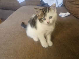 Special little girl