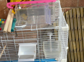 White bird cage