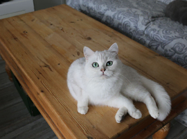 Silver