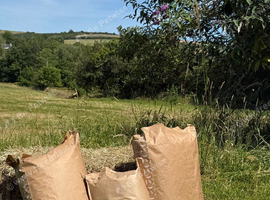 Hay for sale