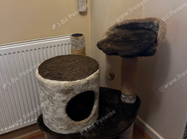 Cat Scratcher Post