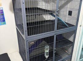 Ferret Nation Double cage