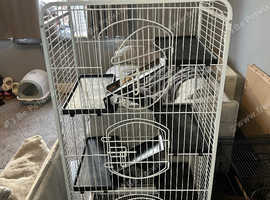RAT CAGE GOOD AS NEW