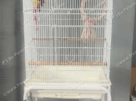 Parrot cage